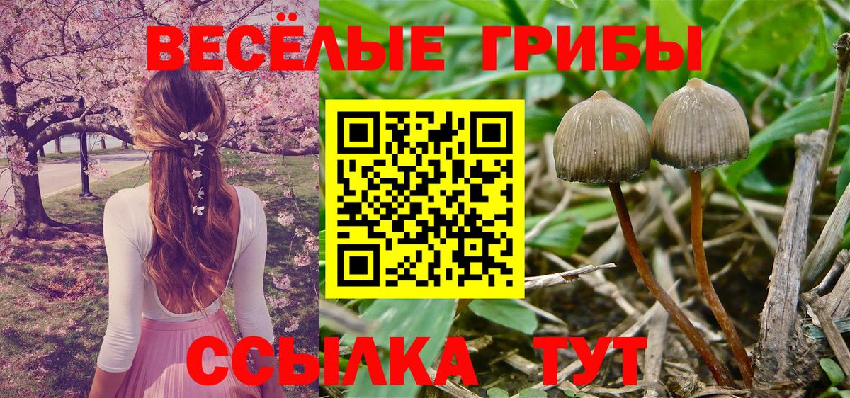 Галлюциногенные грибы GOLDEN TEACHER Севастополь