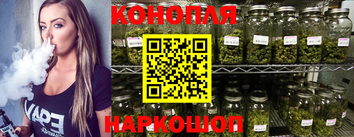 Каннабис план Севастополь